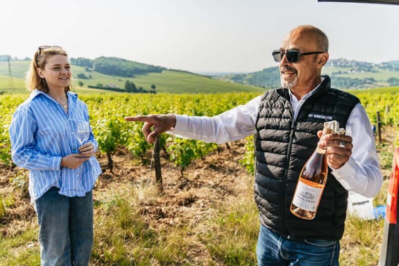 From Paris: Private Sancerre Wine Tour w 10 Tastings & Lunch - An In-Depth Look at the Sancerre Private Tour