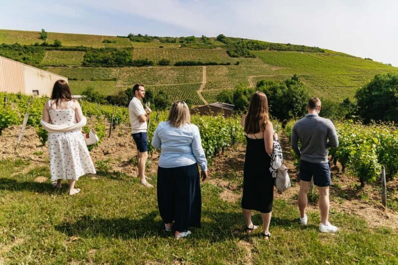 From Paris: Private Sancerre Wine Tour w 10 Tastings & Lunch - Final Thoughts