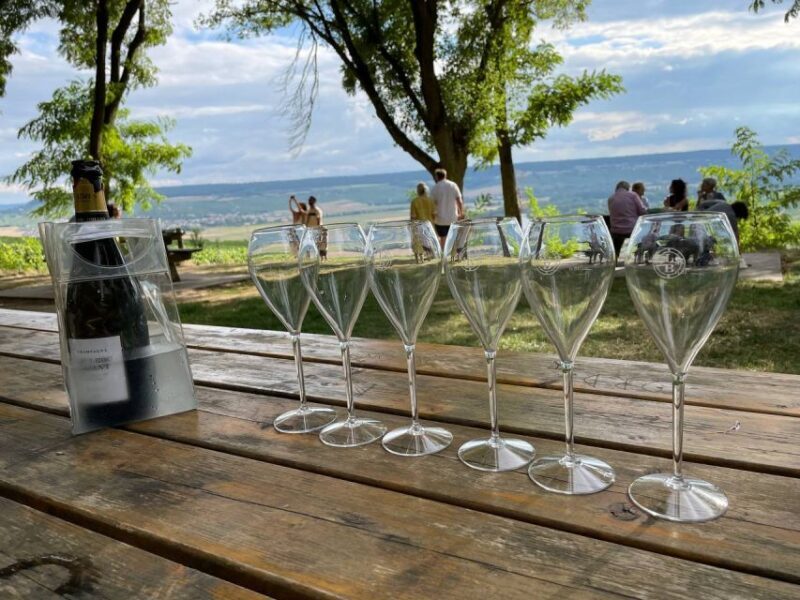 From Paris: Reims and Champagne Tasting Full-Day Tour - FAQ