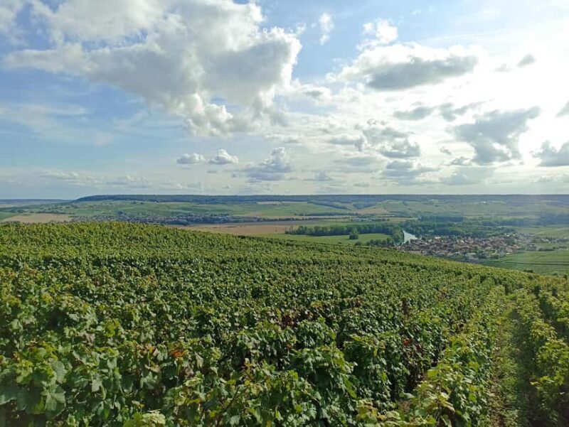 From Paris: Reims Cathedral, Champagne Cellar, and Tasting - FAQ