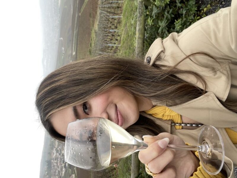 From Paris: Small-Group Champagne Tour with 3-Course Lunch - The Sum Up: Who Is This Tour Best Suited For?