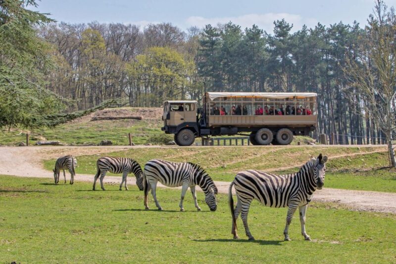 From Paris: Thoiry Park Safari and Castle Tour - Exploring Thoiry: A Day of Animals, History, and Family Fun