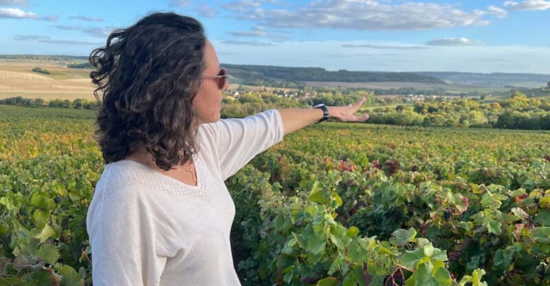 From Paris: Wine Day trip to SANCERRE w 10 Tastings & Lunch - From Paris: Wine Day trip to SANCERRE w 10 Tastings & Lunch