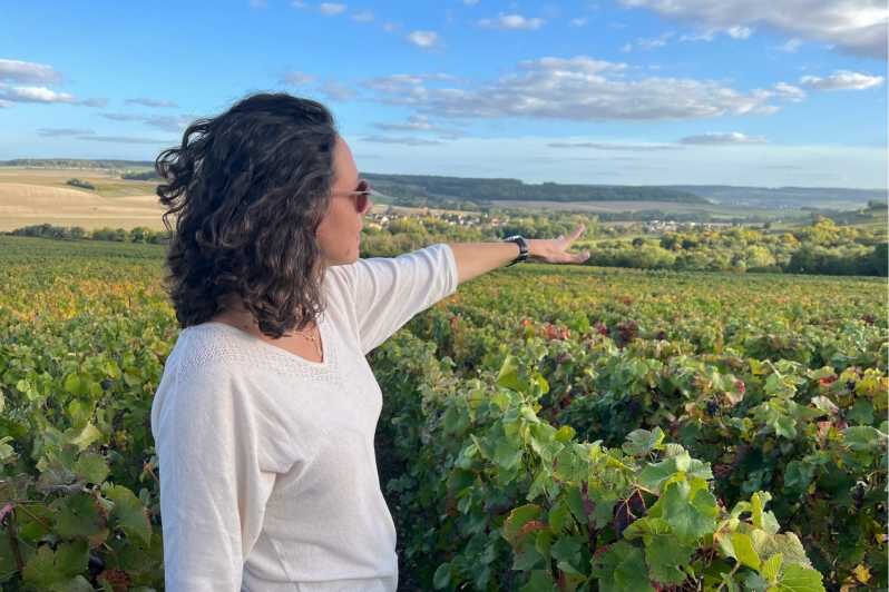 From Paris: Wine Day trip to SANCERRE w 10 Tastings & Lunch - Key Points