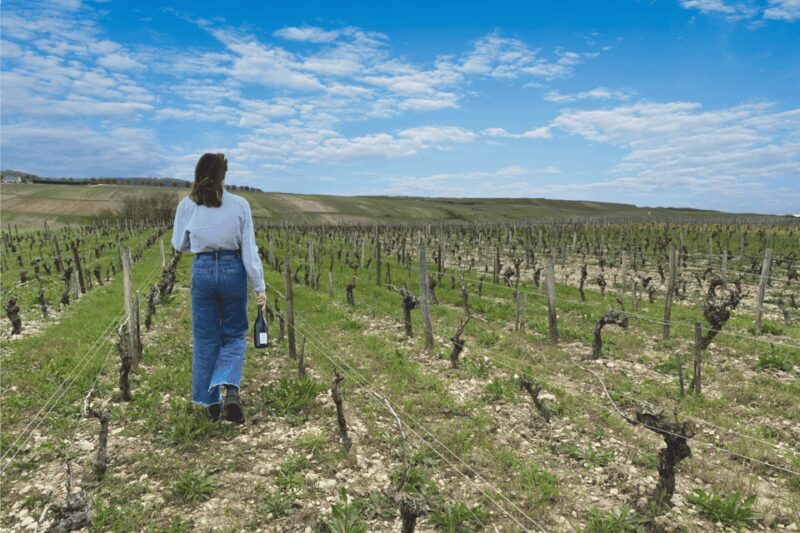 From Paris: Wine Day trip to SANCERRE w 10 Tastings & Lunch - The Sum Up