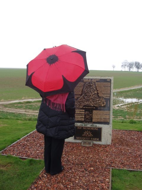 From Paris: WWI Somme Battlefields Full-Day Tour - The Museum and Reflection