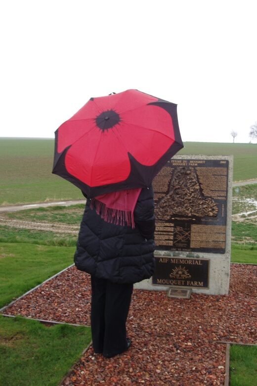 From Paris: WWI Somme Battlefields Full-Day Tour - Who Will Love This Tour?