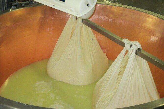 From Parma: Parmigiano,Prosciutto and winery Tour and tasting - A Deep Dive into the Parma Food Experience