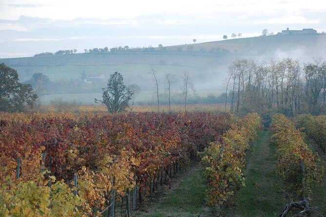 From Parma: Parmigiano,Prosciutto and winery Tour and tasting - The Sum Up: Why This Tour Is Worth Your Time