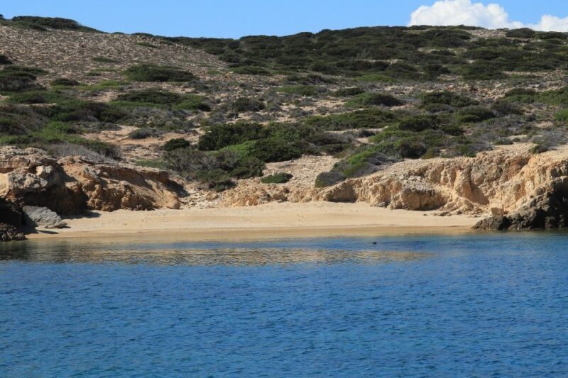From Paros: Antiparos and Despotiko Full-Day Swim Cruise - Authentic Perspectives from Past Travelers