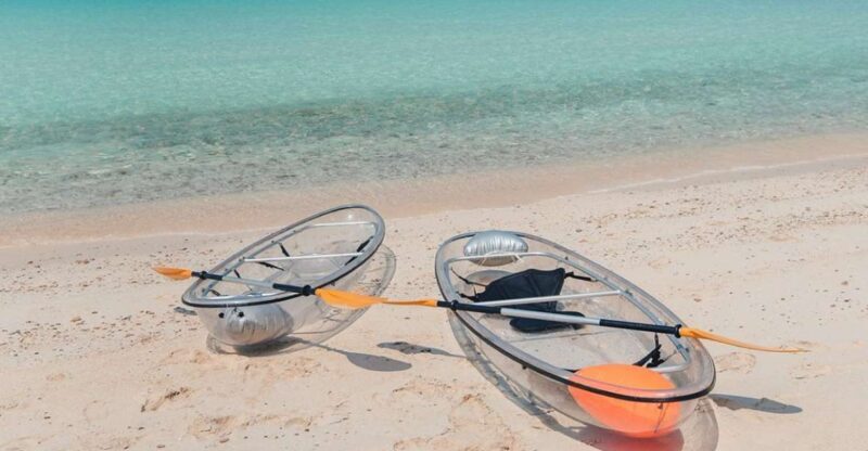 From Pattaya/Bangkok: Island Day Trip with Beach Activities - Who Is This Tour Best For?