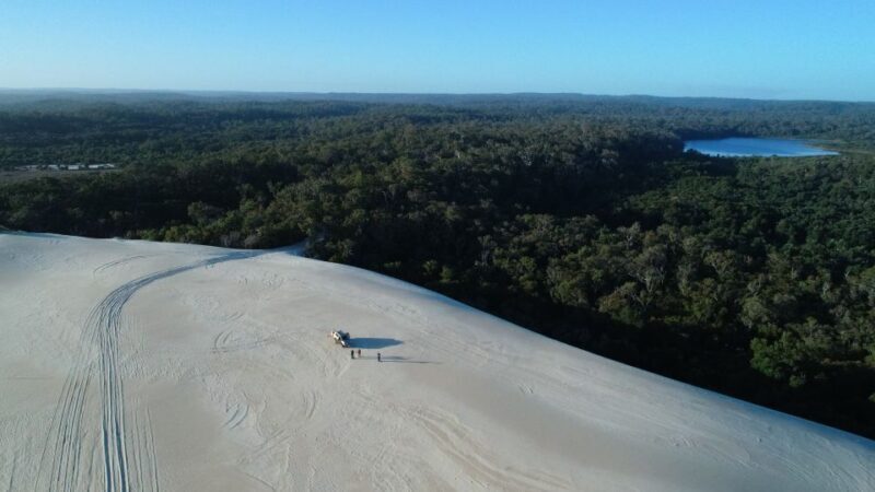 From Pemberton: Half-Day Beach and Forest Eco Adventure - What You’ll Experience and How It Adds Up