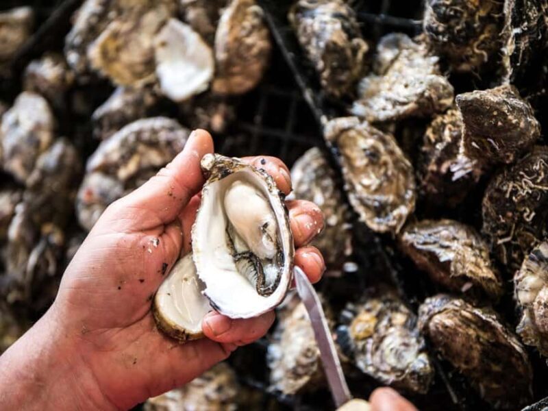 From Penneshaw - A Tasting Of Kangaroo Island - The Sum Up
