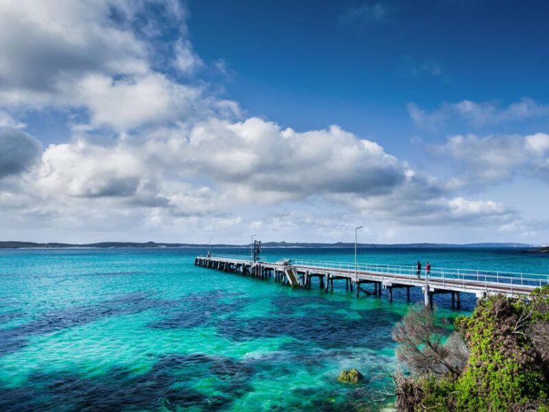 From Penneshaw: Kangaroo Island Sights and Wildlife Tour - Exploring the Day in Detail