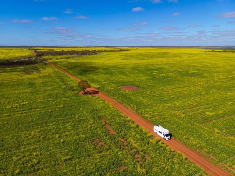From Perth: Australian Animal Night Safari - Picnic Dinner in Nature — Simple and Satisfying