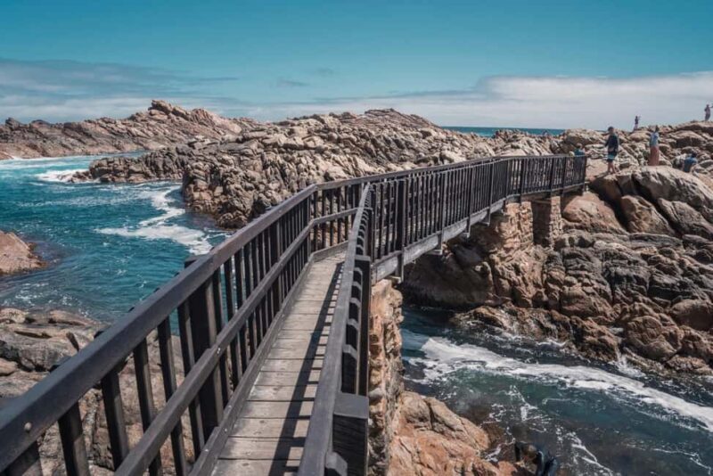 From Perth: Margaret River Wine Tour & Wildlife Cruise - A Deep Dive into the From Perth: Margaret River Wine Tour & Wildlife Cruise