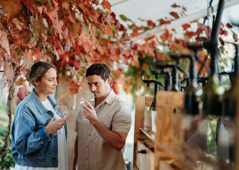 From Perth: Margaret River Wine Tour & Wildlife Cruise - Who Should Consider This Tour?