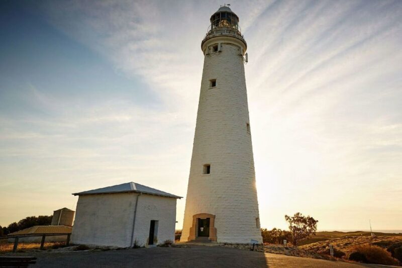 From Perth or Fremantle: Rottnest Island Ferry and Bus Tour - A Practical and Authentic Day on Rottnest Island