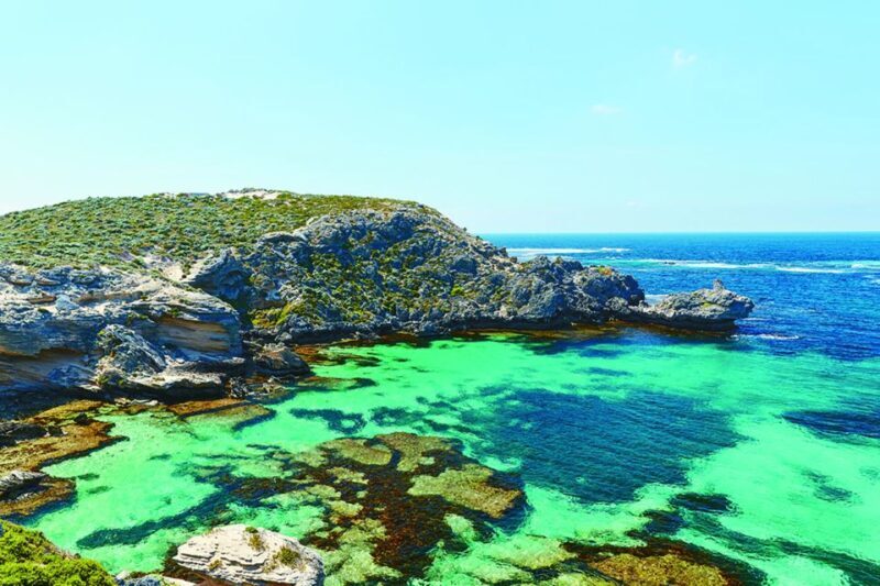 From Perth or Fremantle: Rottnest Island Seafood Cruise - A Detailed Look at the Rottnest Island Seafood Cruise