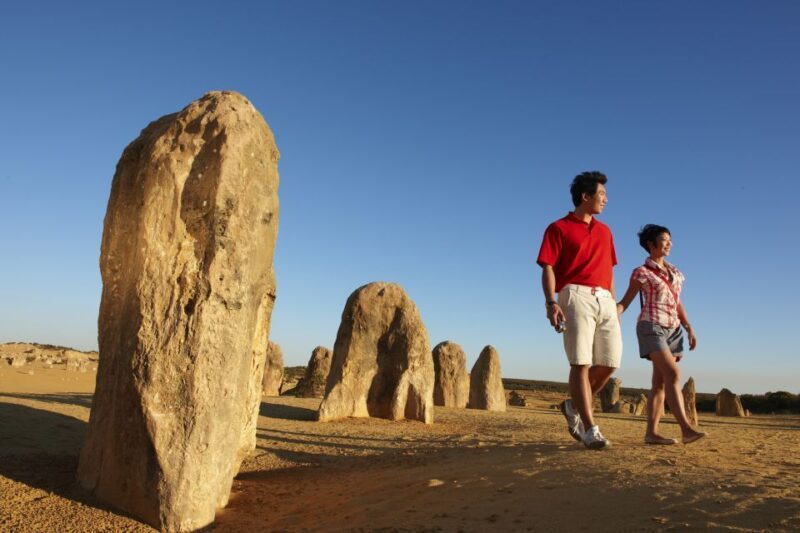 From Perth: Pinnacles Desert, Yanchep & Swan Valley Day Tour - What Could Be Better?