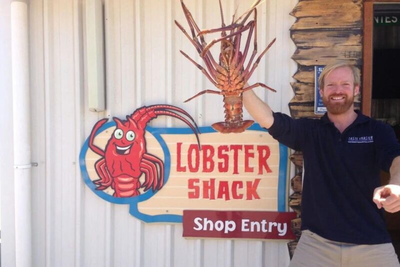 From Perth: Pinnacles Lobster Shack and Yanchep Day Trip - An In-Depth Look at the Tour Experience