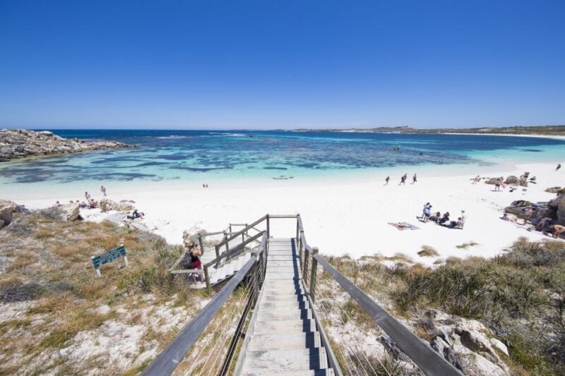 From Perth: Rottnest Island Grand Island Day Tour with Lunch - Key Points