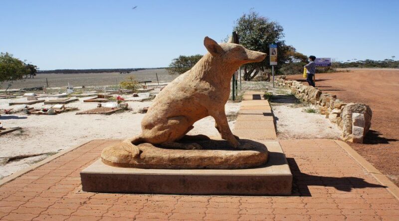 From Perth: Wave Rock and York Cultural Tour with a Guide - From Perth: Wave Rock and York Cultural Tour with a Guide