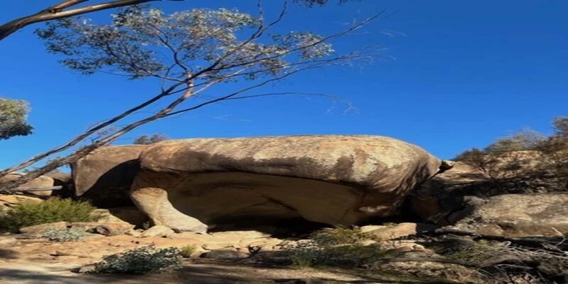 From Perth: Wave Rock Private Tour - An In-Depth Look at the Tour Experience