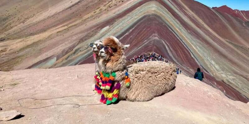 From Peru | Private ATVs tour to Rainbow Mountain Vinicunca - Final Thoughts: Is This Tour for You?