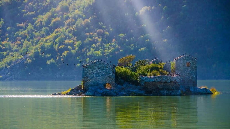 From Petrovac or Budva: Skadar Lake Cruise with Lunch - Exploring the Skadar Lake Cruise from Petrovac or Budva