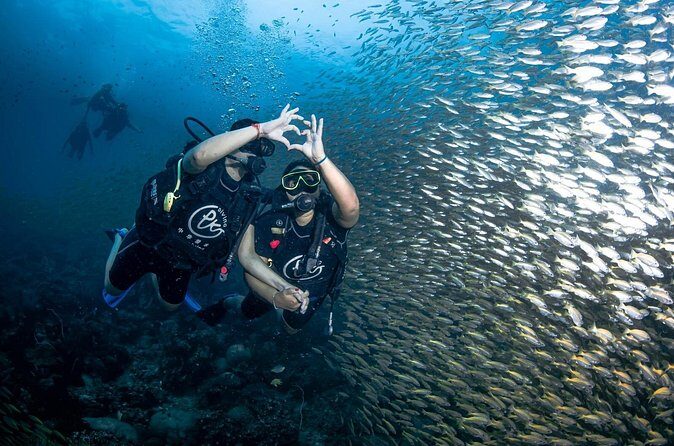 From Phi Phi Don | Half Day Discover Scuba Diving 2 Dives - Who Is This Tour Best For?