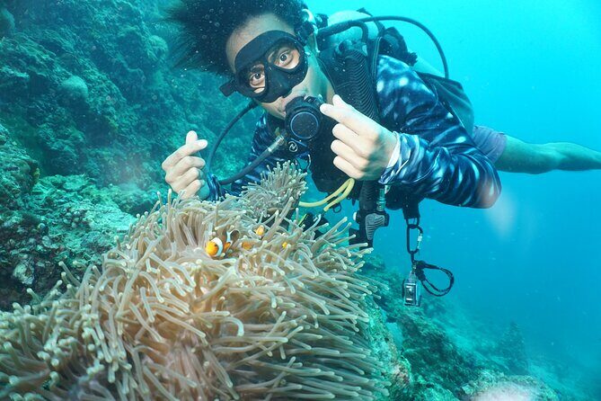From Phi Phi: Half Day Discover Scuba (2 Dives) - FAQ