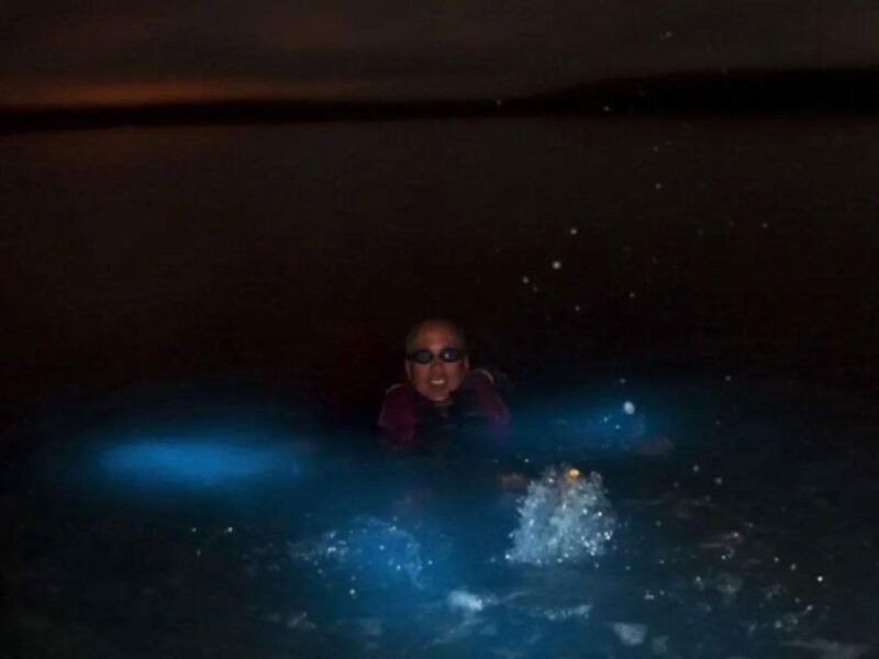 From Phi Phi: Sunset & Bioluminescent Plankton Snorkel Tour - An In-Depth Look at the Experience