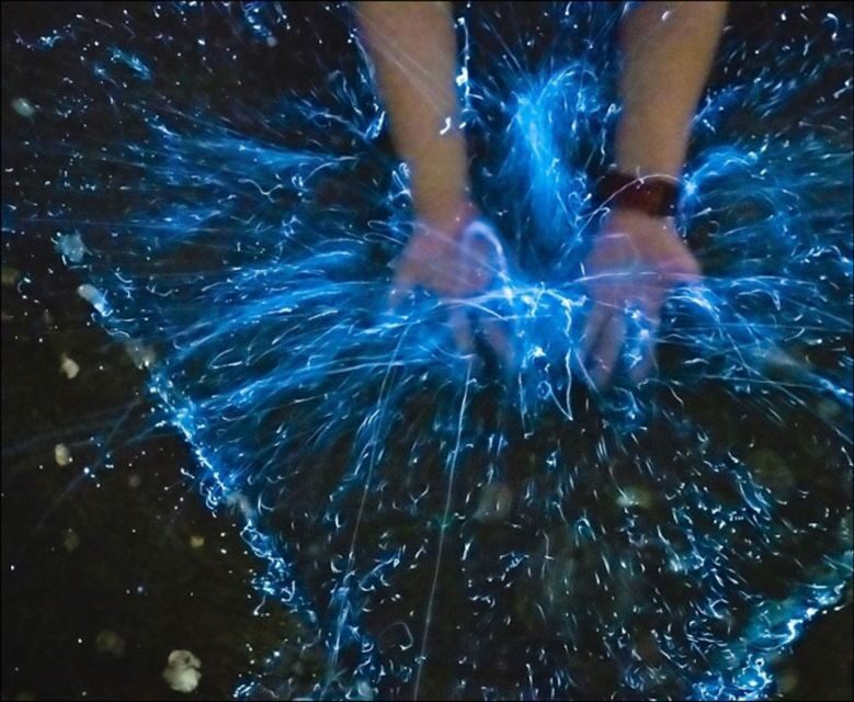 From Phi Phi: Sunset & Bioluminescent Plankton Snorkel Tour - FAQ