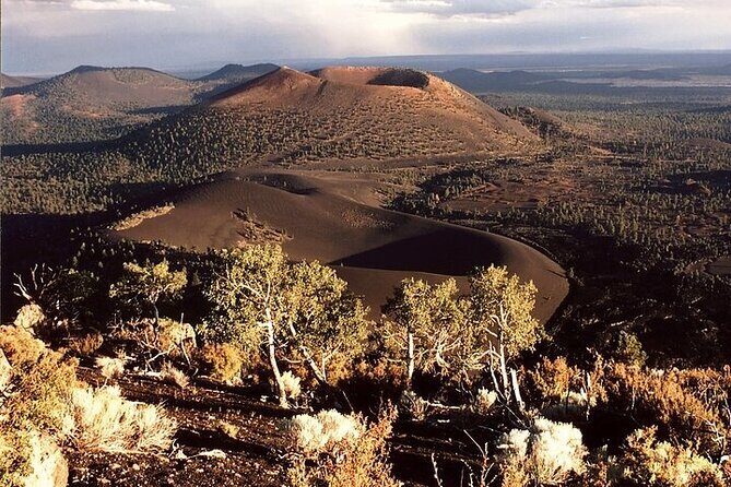 From Phoenix Flagstaff Day Shared Tour - Authentic Insights from Travelers