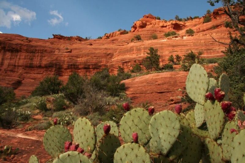 From Phoenix: Full-Day Sedona Small-Group Tour - Who Is This Tour Best For?