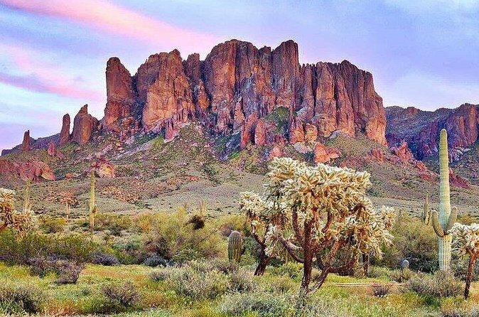 From Phoenix: Offroad Sonoran Desert and Sunset Shared Tour - Authentic Experiences & Traveler Insights