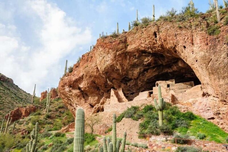 From Phoenix: Private Offroad Sonoran Desert and Sunset Tour - Exploring the Sonoran Desert – What You Can Expect
