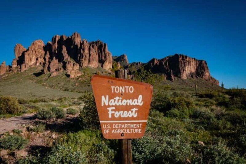 From Phoenix: Private Offroad Sonoran Desert and Sunset Tour - In-Depth Breakdown of the Experience