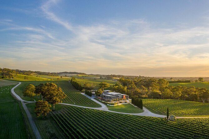 From Phoenix Private Vortex to Vineyard Tour - Key Points