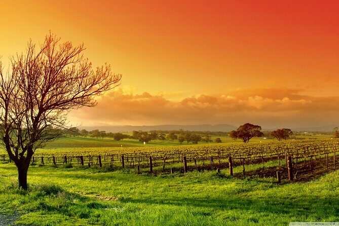 From Phoenix Private Vortex to Vineyard Tour - What the Experience Includes—and What It Doesn’t