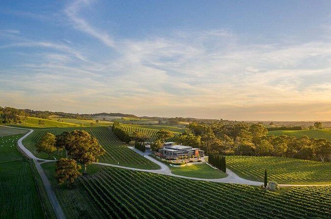 From Phoenix Private Vortex to Vineyard Tour - Authenticity and Practicality