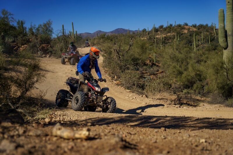 From Phoenix: Sonoran Desert Guided ATV Training - Who Will Love This Tour?