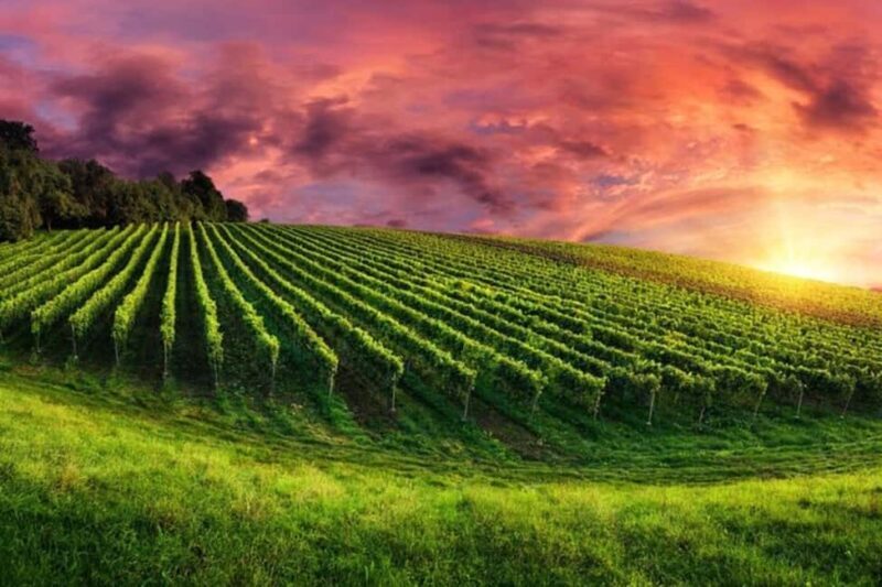 From Phoenix: Vortex to Vineyard Private Tour - From Phoenix: Vortex to Vineyard Private Tour – A Detailed Review