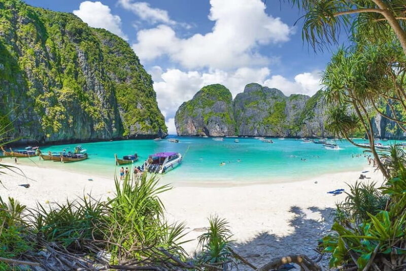 From Phuket: Phi Phi Islands Speedboat Tour - What Makes This Tour Stand Out?