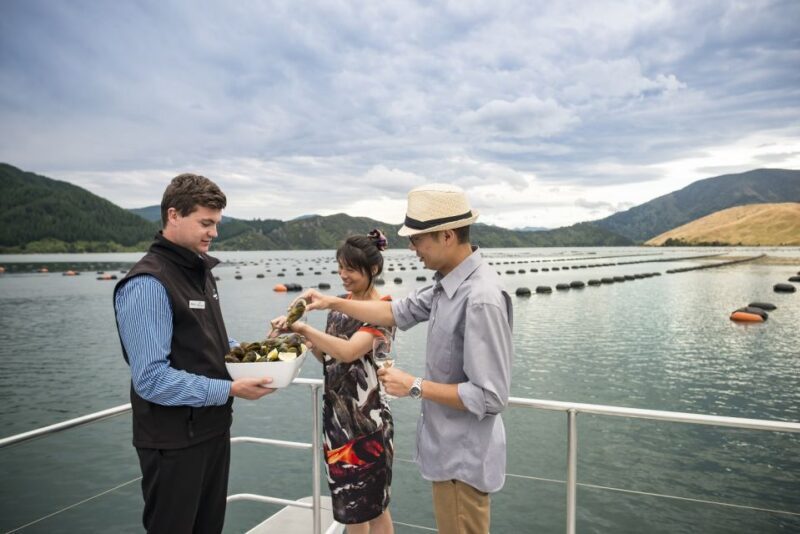 From Picton: Marlborough Sounds Cruise with Seafood - Key Points