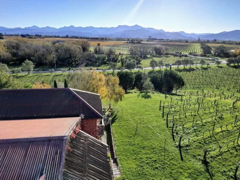 From Picton: Marlborough Wine Shore Excursion - A Closer Look at the Marlborough Wine Shore Excursion