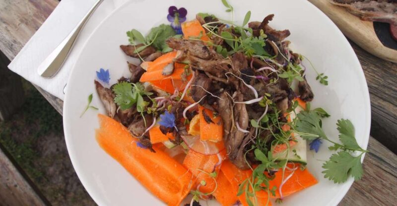 From Picton: Private Wine and Gourmet Tour of Marlborough - An In-Depth Look at the Picton Private Wine and Gourmet Tour
