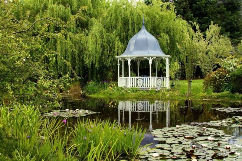 From Picton: Private Wine and Gourmet Tour of Marlborough - Authentic Experiences with Local Flair