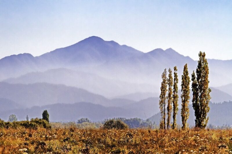 From Picton: Private Wine and Gourmet Tour of Marlborough - Frequently Asked Questions